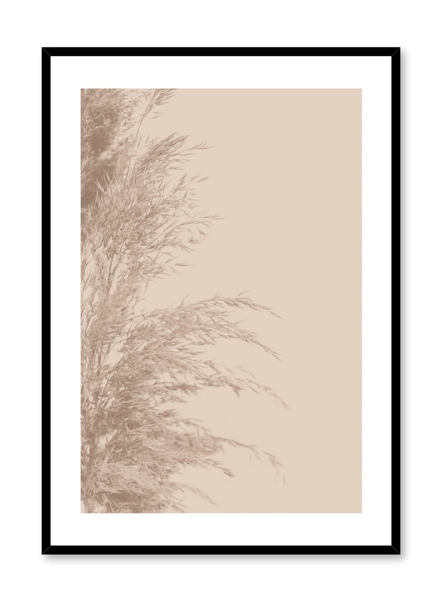 Minimalist wall poster by Opposite Wall with wispy grasses botanical photography in beige