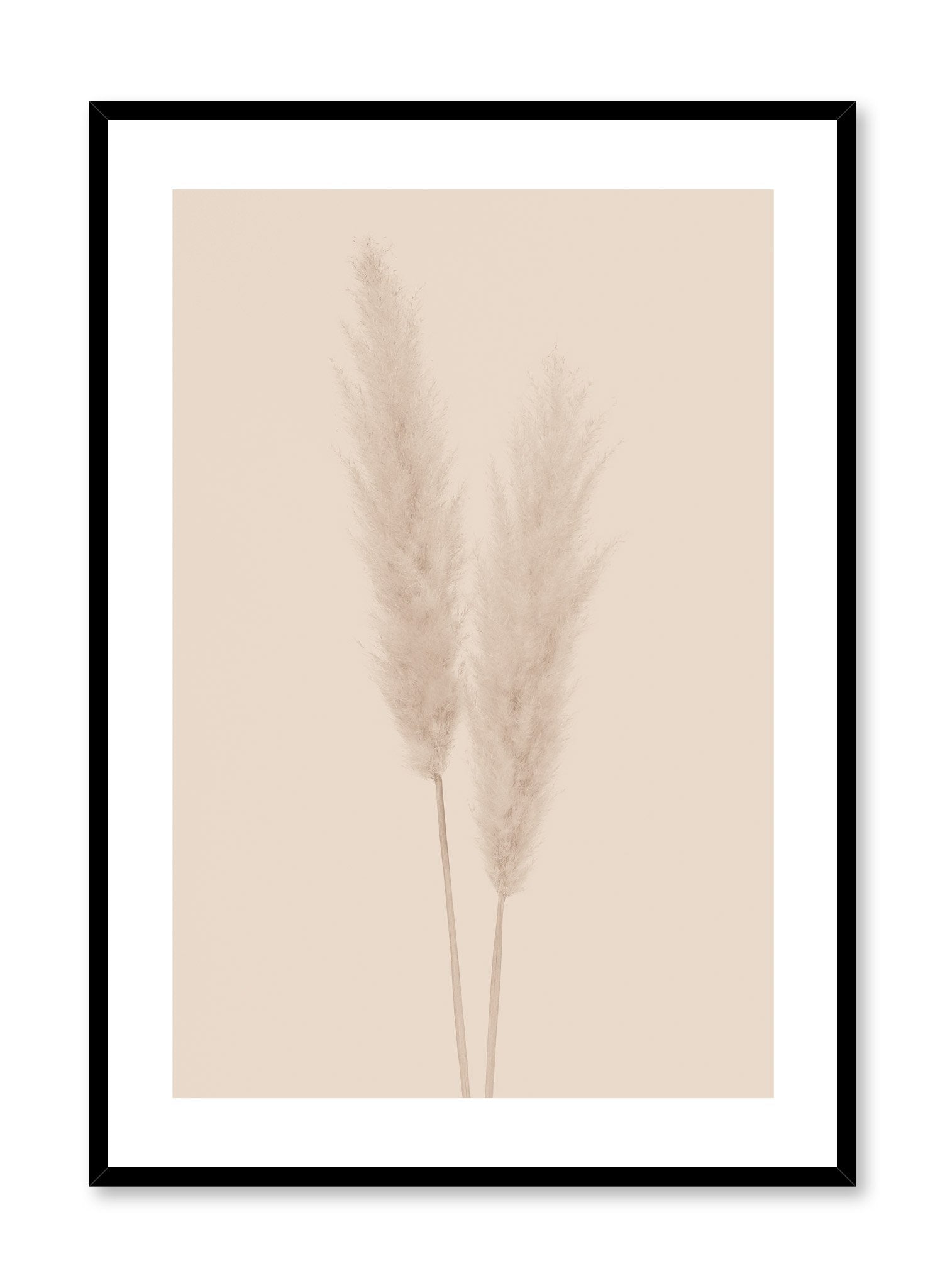 Minimalistic wall poster by Opposite Wall with grasses botanical photography in beige