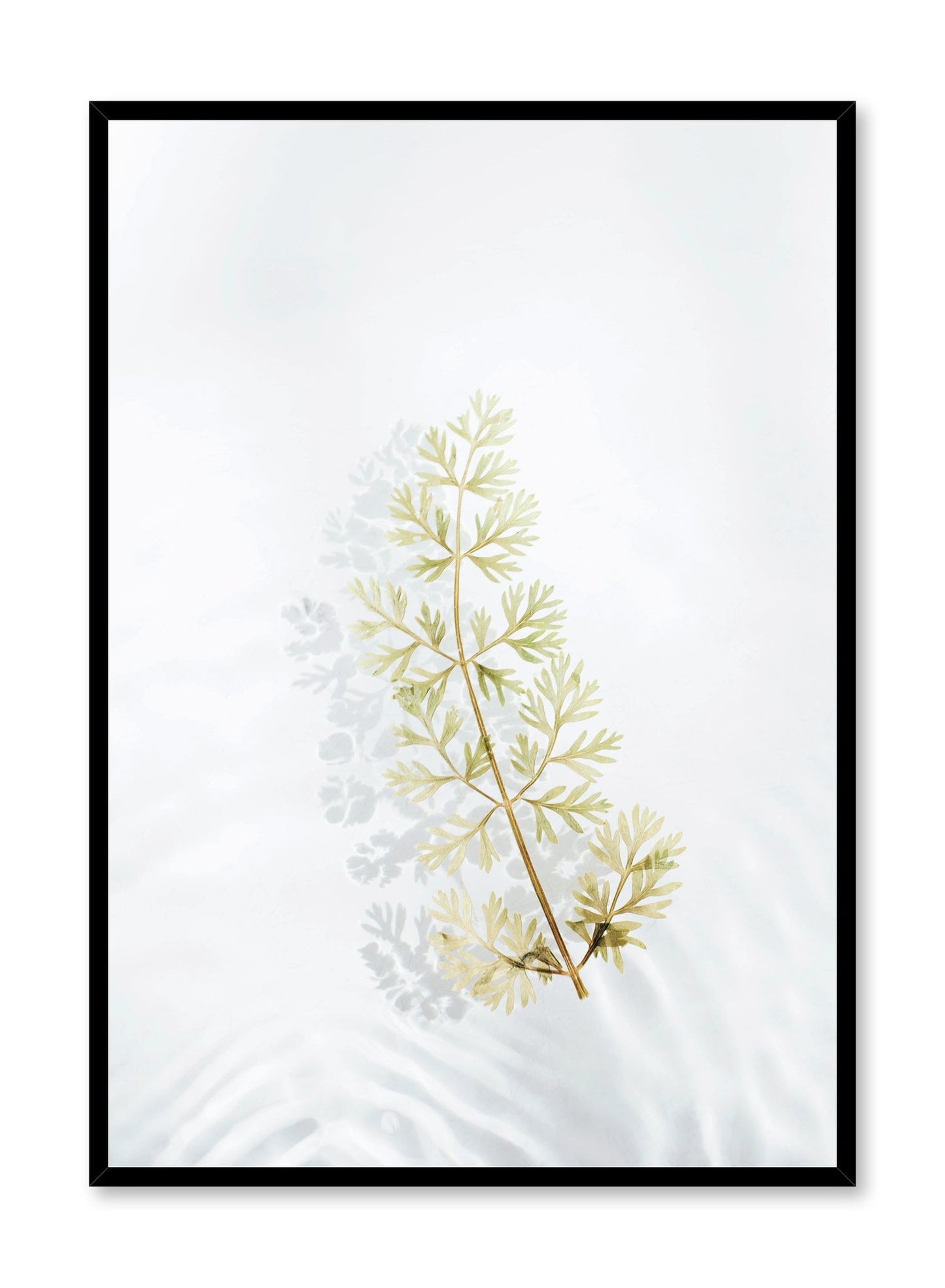 Modern minimalist botanical photography poster by Opposite Wall with floating leaf