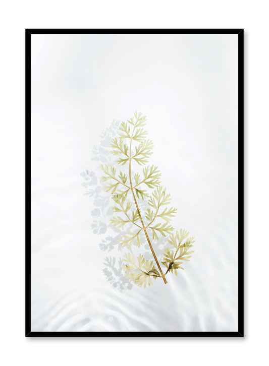 Modern minimalist botanical photography poster by Opposite Wall with floating leaf