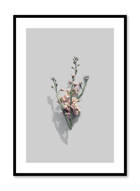 Modern minimalist photography photo by Opposite Wall with Vintage Blooms pink flowers