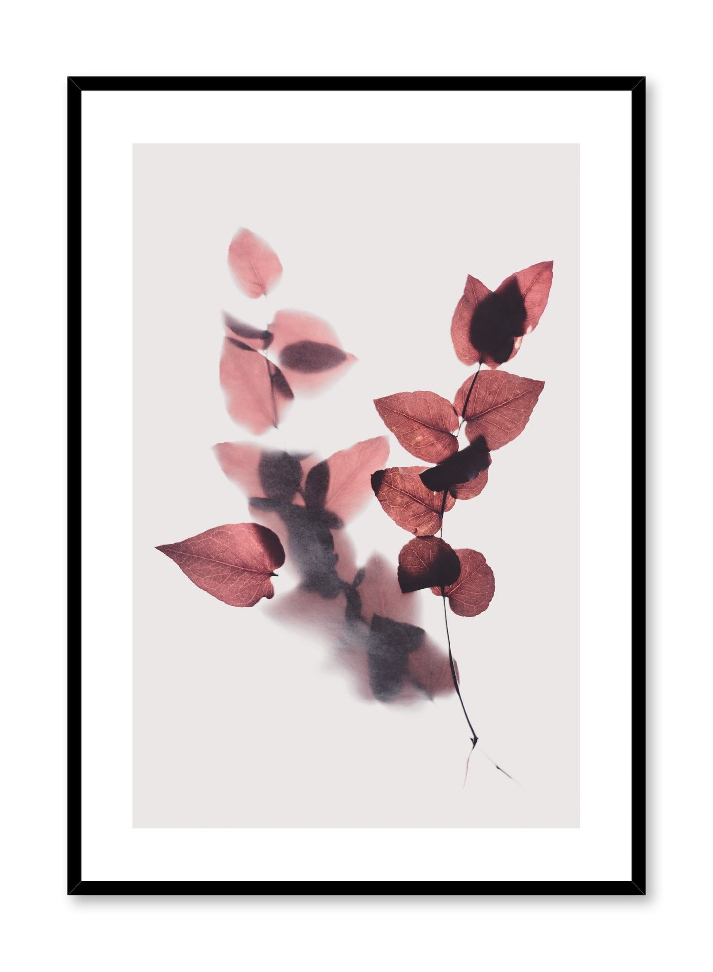 Modern minimalist botanical photography print by Opposite Wall with Leaves in Merlot