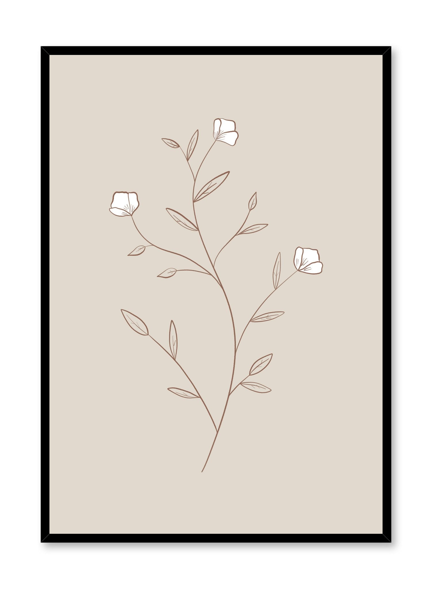 Modern minimalist botanical illustration poster by Opposite Wall with White Petals