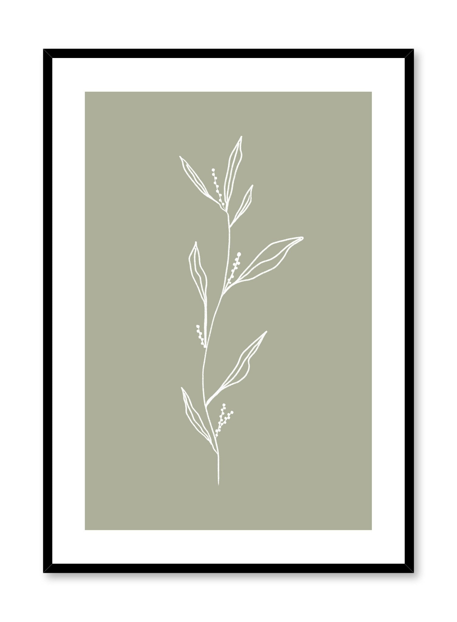 Modern minimalist botanical illustration poster by Opposite Wall with delicate sprig