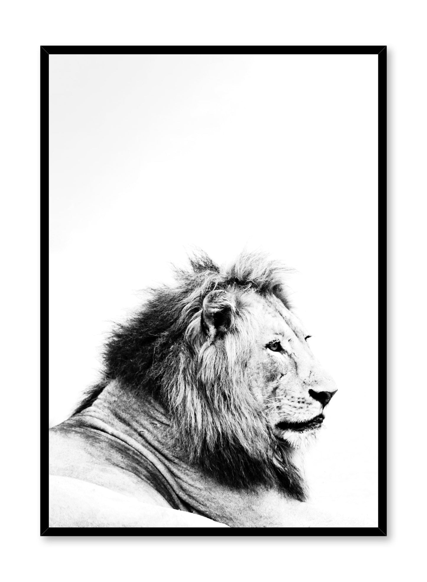 Kids nursery photography poster by Opposite Wall with Lion