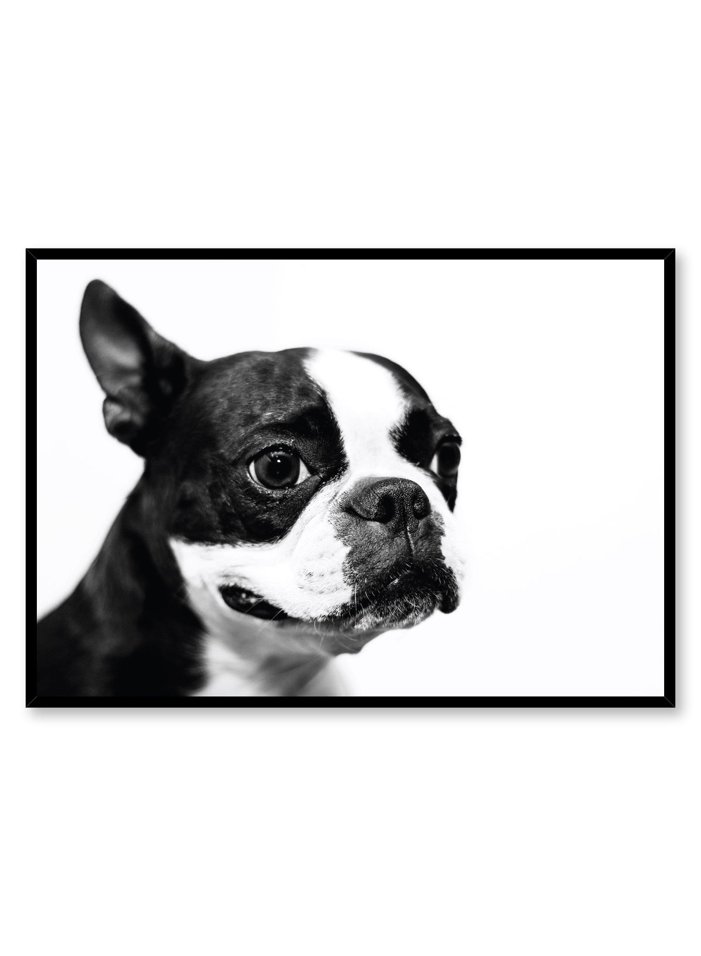 Kids nursery poster by Opposite Wall with black and white dog photography