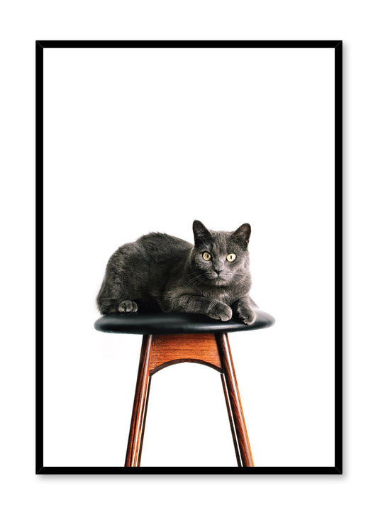 Kids nursery poster by Opposite Wall with photography of cat on chair