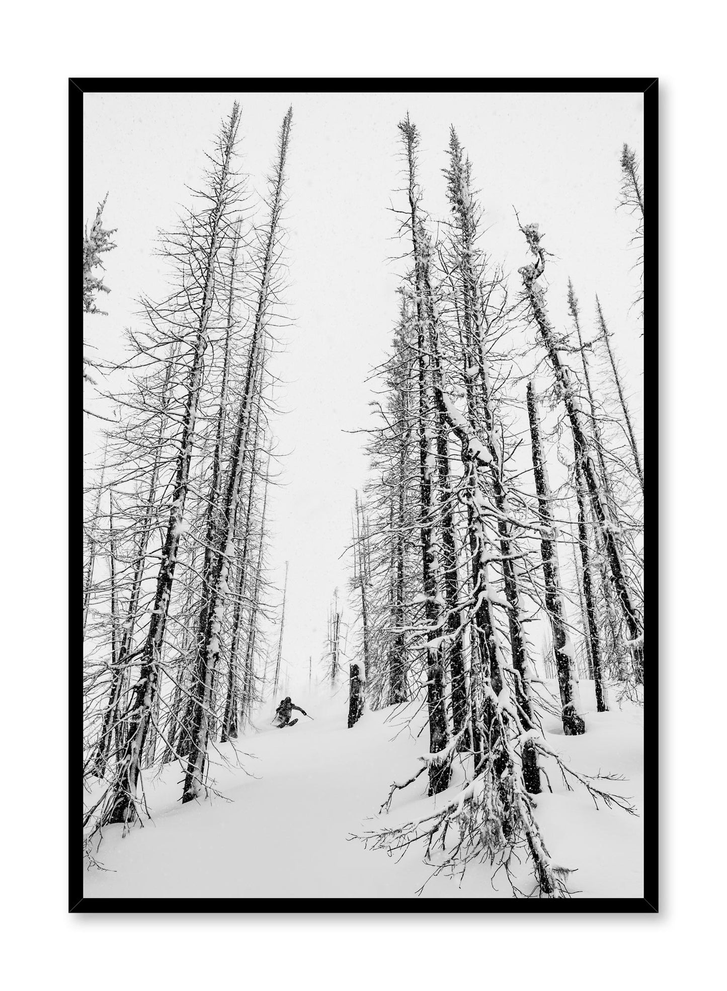 Landscape photography poster by Opposite Wall with trees in snow