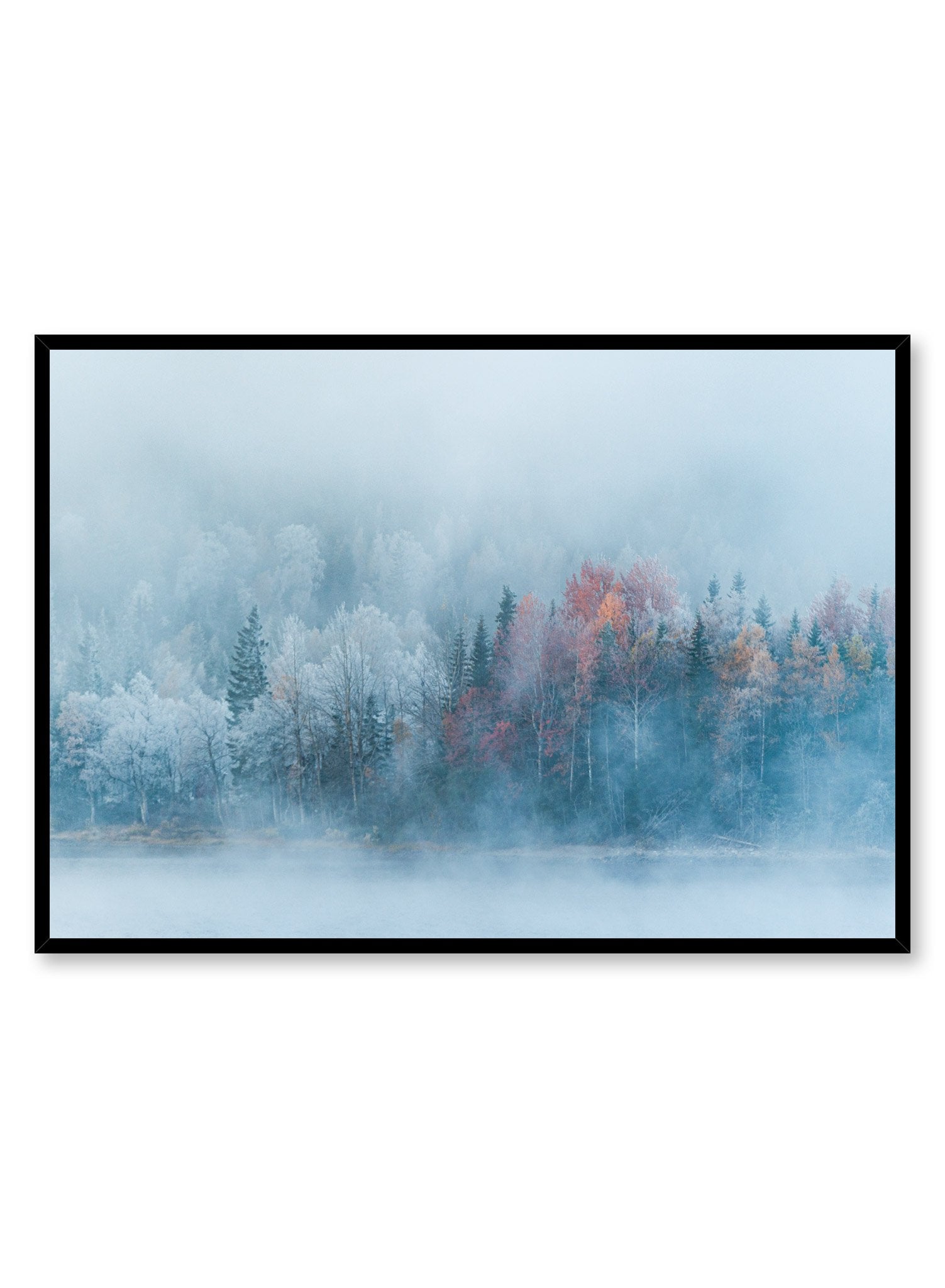 Landscape photography poster by Opposite Wall with trees in the mist