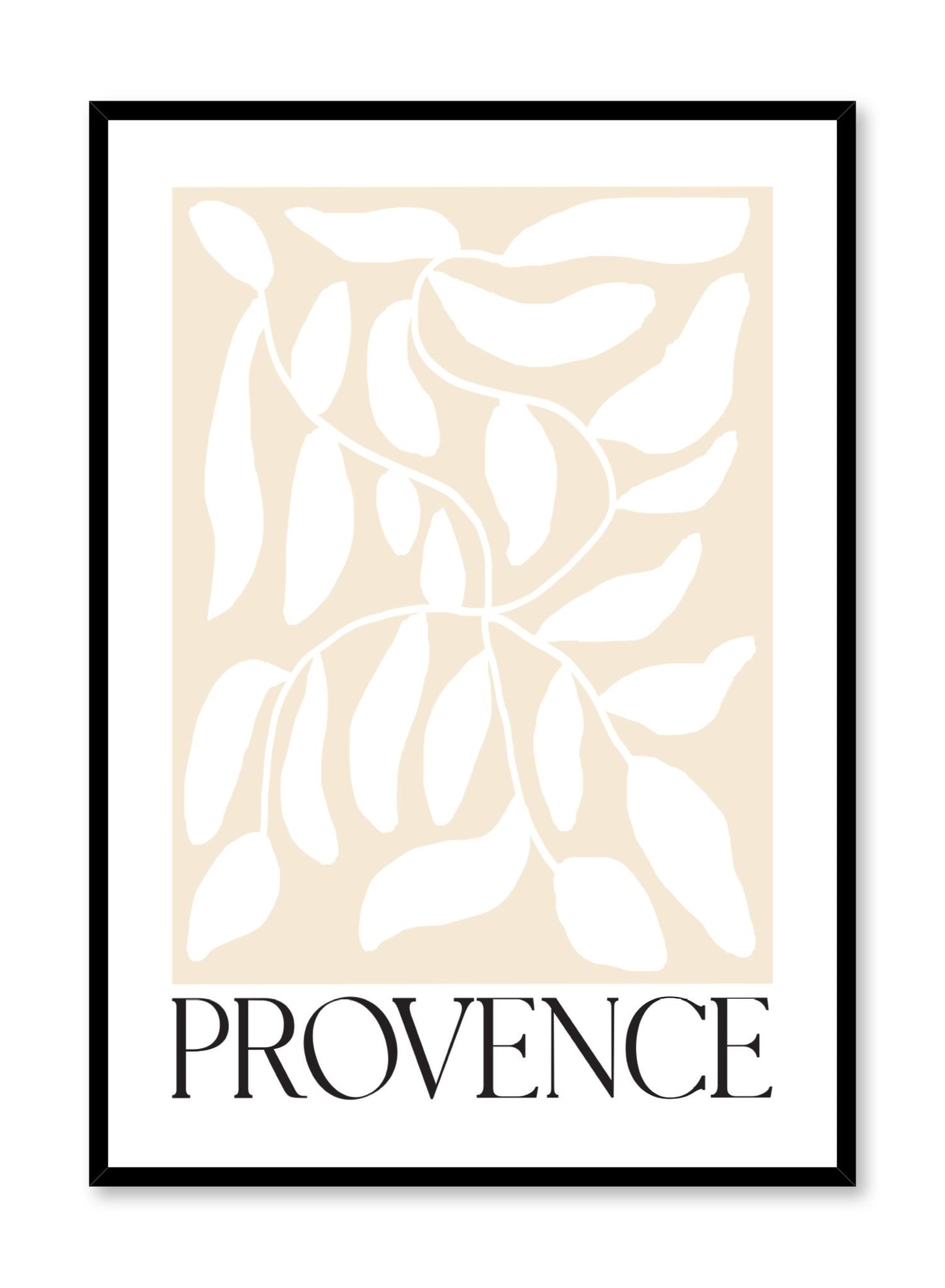 "Provence" is a minimalist  botanical illustration poster by Opposite Wall of vintage white leaves over a beige background and the a "Provence" typography print.
