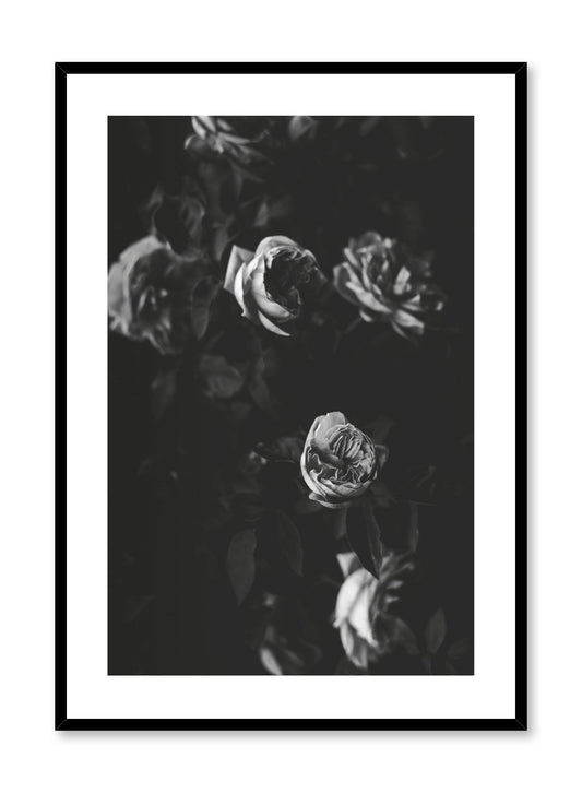 Set d'Affiche Abstrait Noir Blanc, Set 2 Poster Noir et Blanc