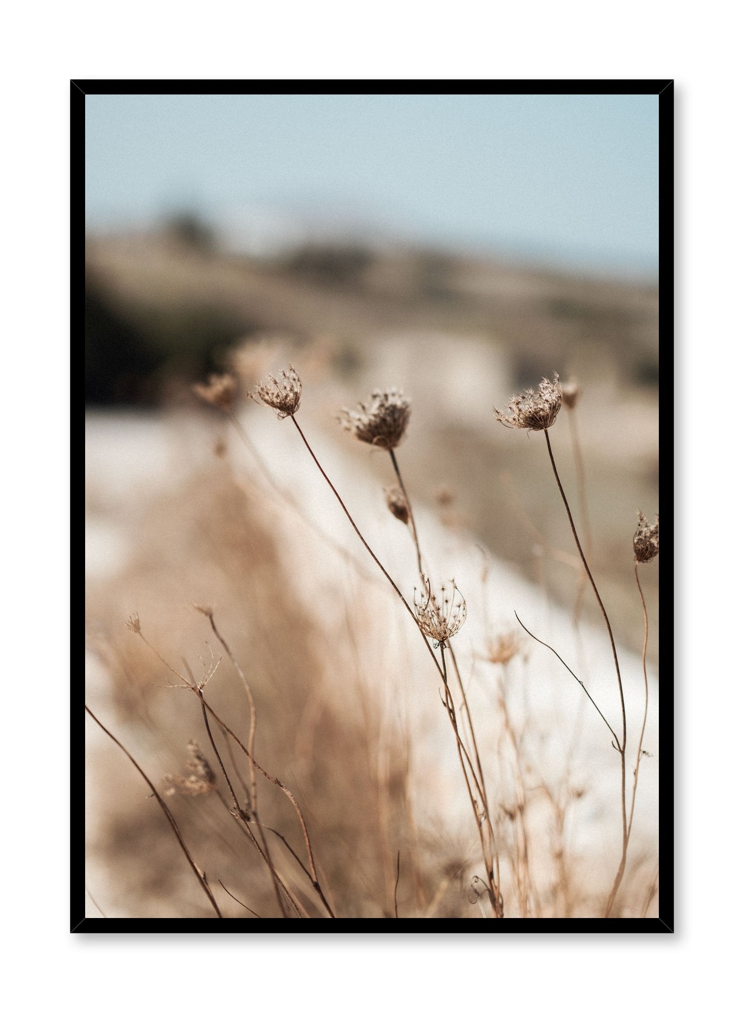 "Forest Bloom" is a botanical photography poster by Opposite Wall of cold climate flowers in natural meadow landscape.