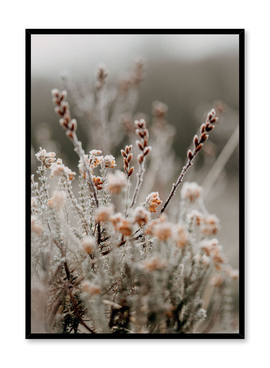 "Crisp Blossom" is a botanical photography poster by Opposite Wall of icy flowers and branches in shades of red and brown in a winter setting.
