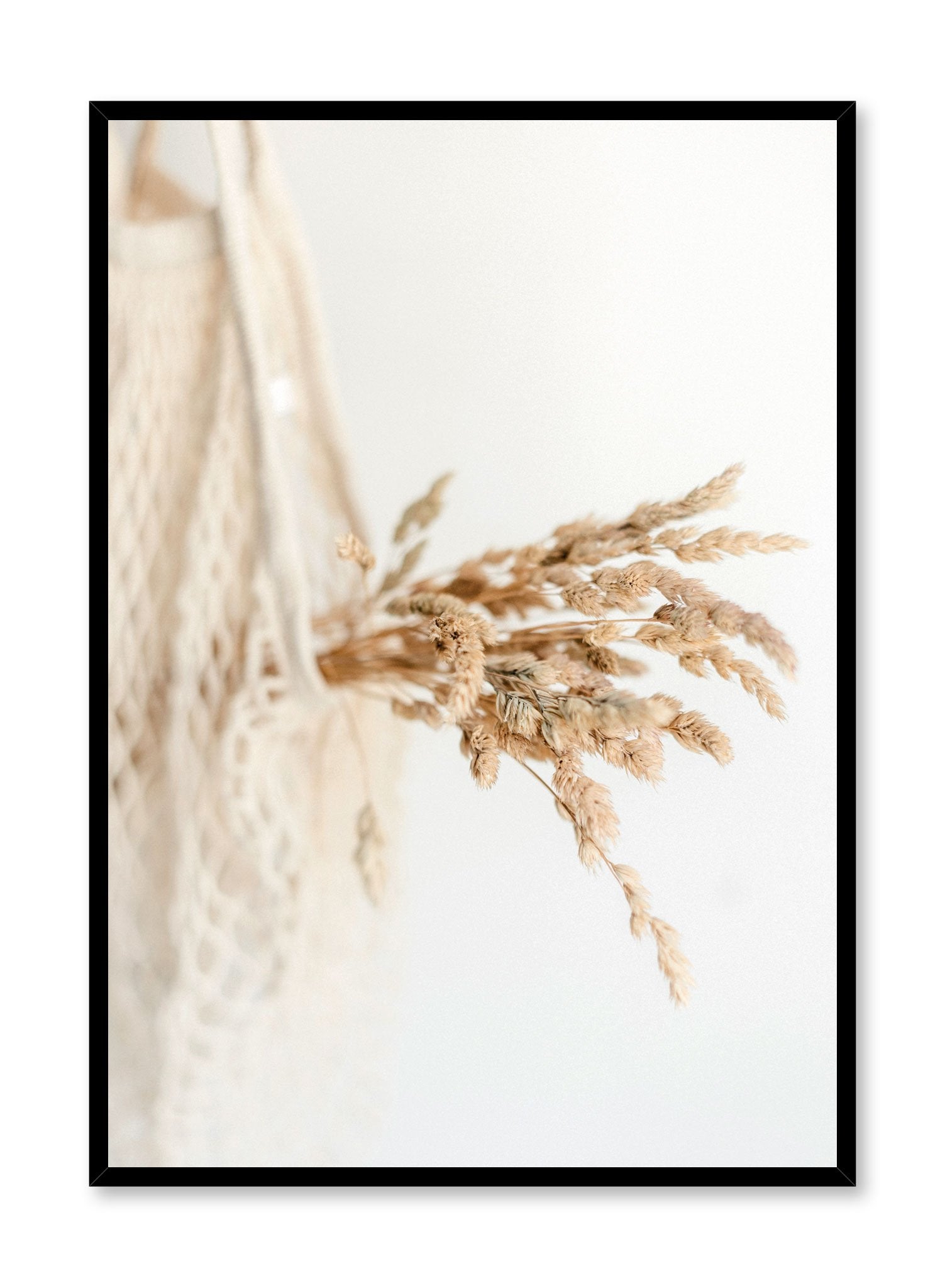 "Everlasting Bouquet" is a botanical photography poster by Opposite Wall of a small dried grasses bouquet harvest in a white cotton mesh bag.