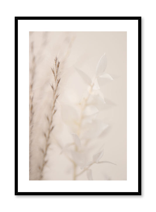 "Dreamy Sprigs" is a botanical photography poster by Opposite Wall of close-up white flowers and delicate brown sprigs.
