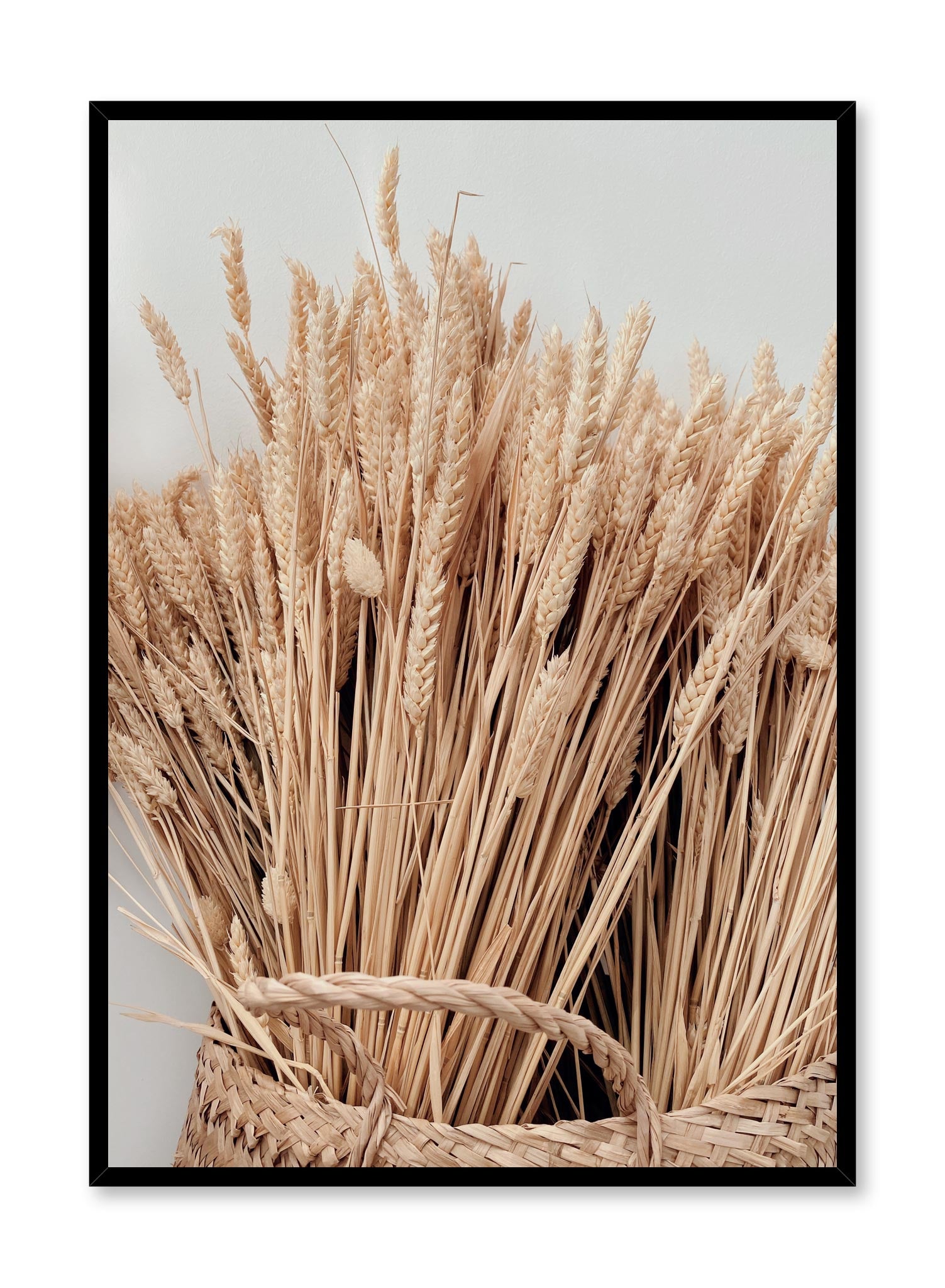 "Wheat Abundance" is a botanical photography poster by Opposite Wall of a weaved basket filled with beautiful rich blond and beige wheat grasses.