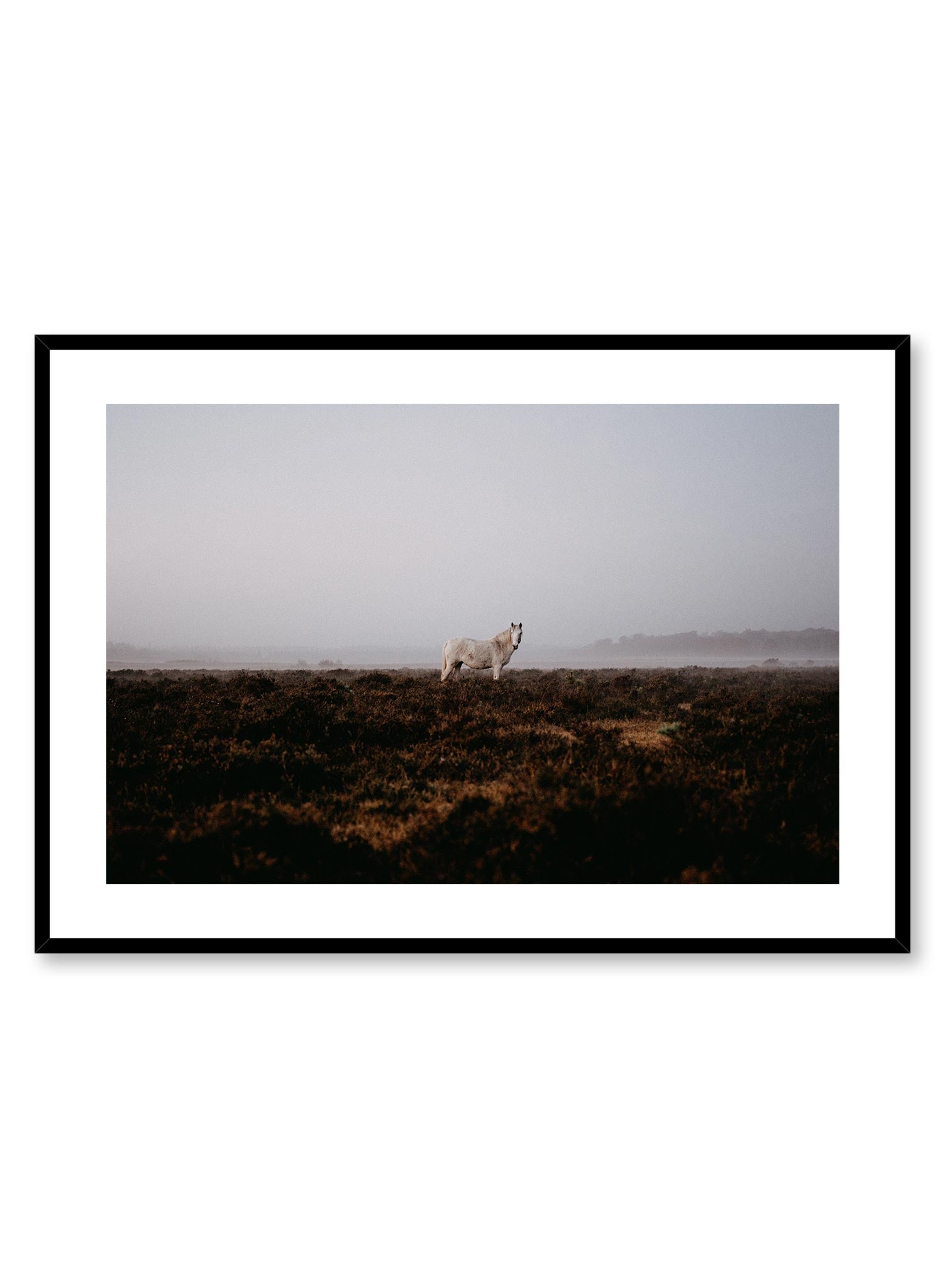 Wild Horse' is an animal and landscape photography poster by Opposite Wall of a wild white horse standing in a vast and foggy field with distant mountains.