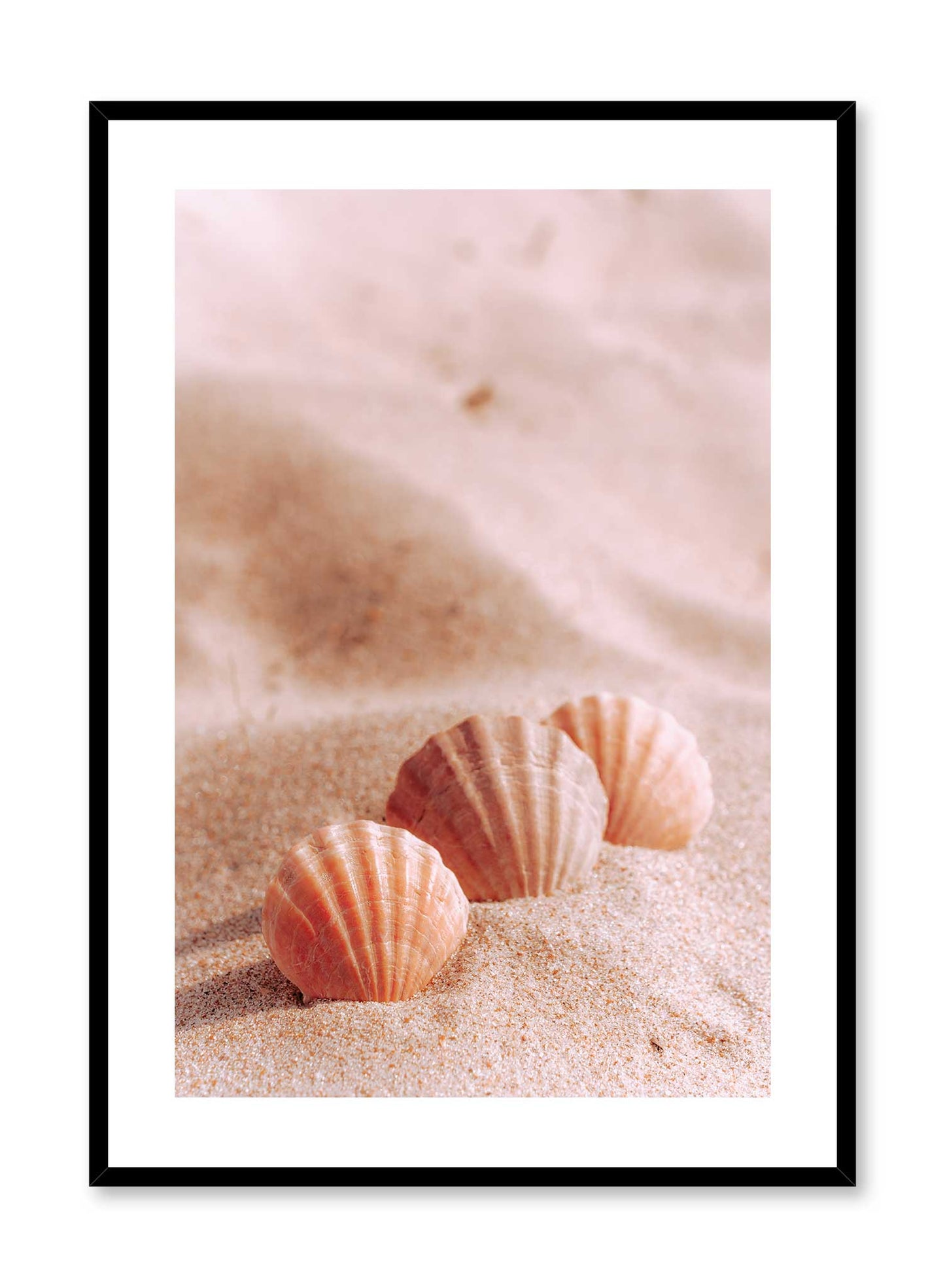 Sweet Seashells is a minimalist photography of three small pink clams on soft beige-pink sand by Opposite Wall.