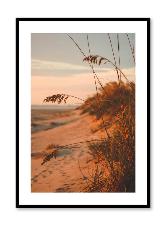 Dune Feathers is a minimalist photography of beach grass overlooking a beach filled with footsteps and where the sun is setting by Opposite Wall.