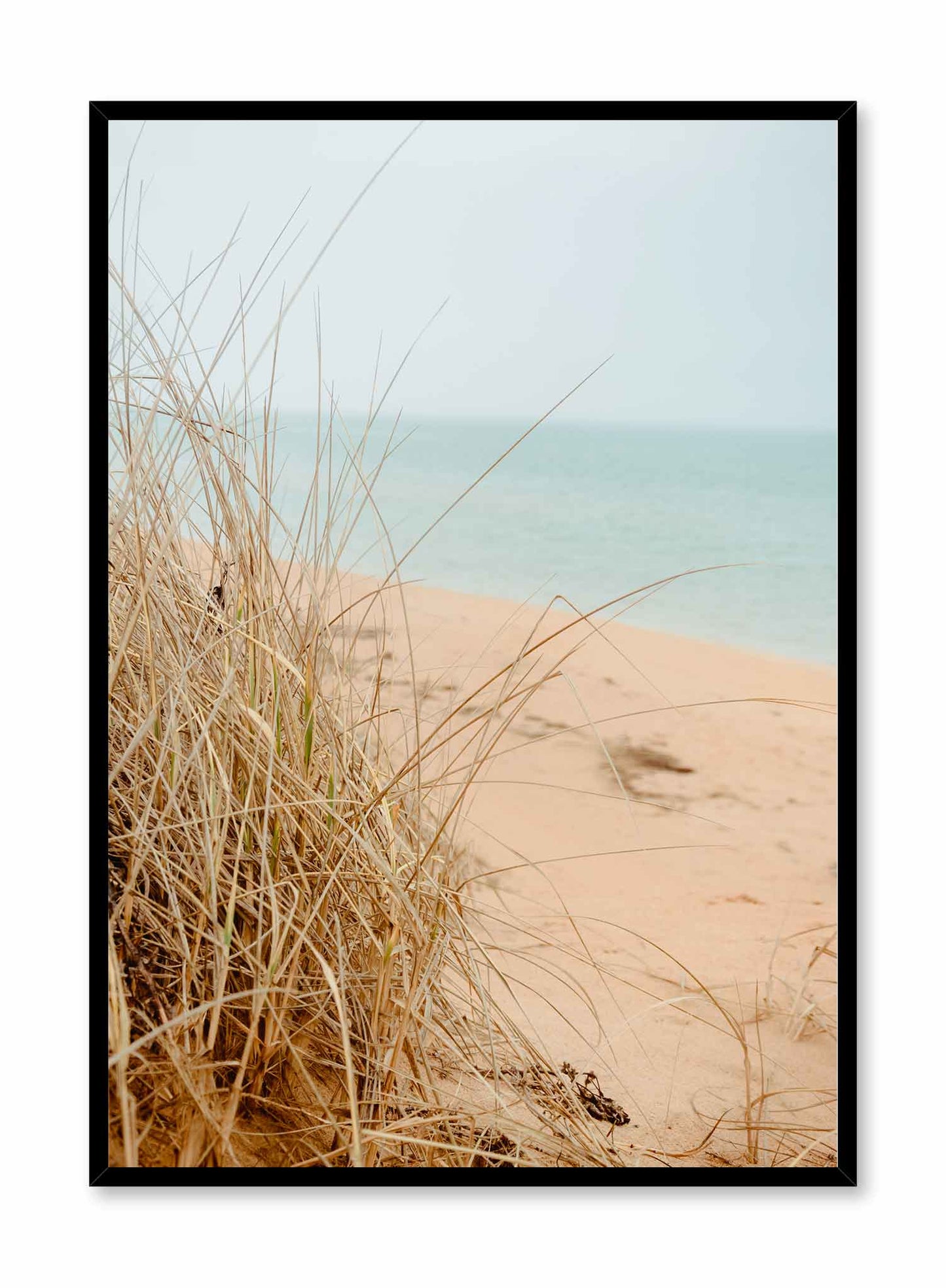 Sandy Grass is a minimalist photography of a close-up shot of dry beach grass next to a sandy scenery by Opposite Wall.