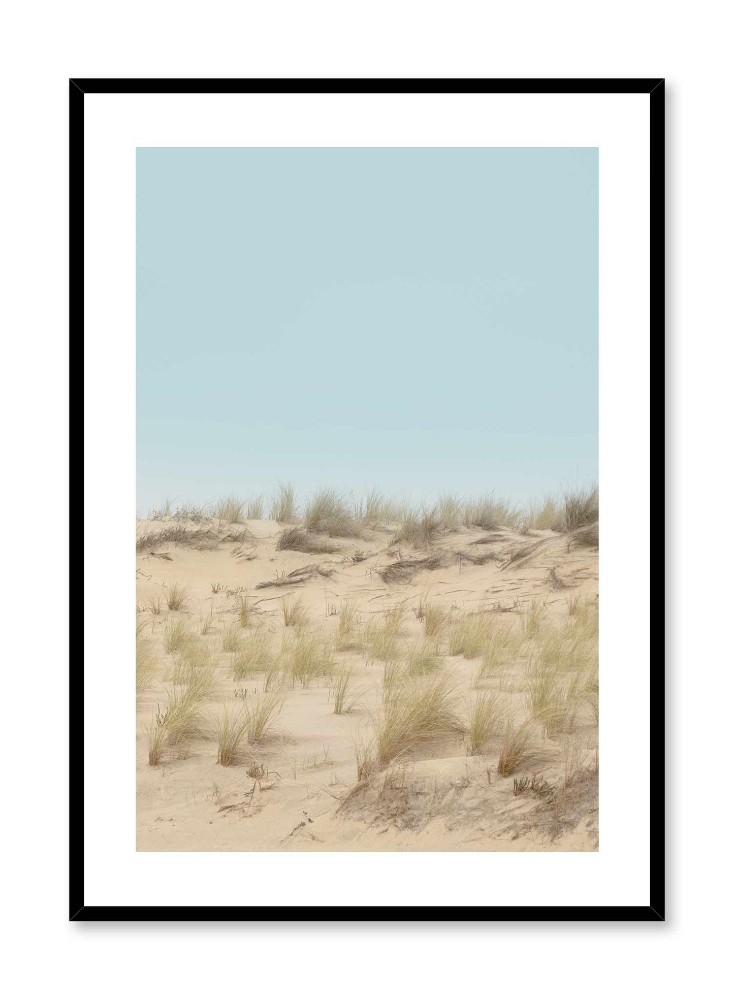 Windy Dune is a minimalist photography of a patch of short beach grass spread over the beach by Opposite Wall.