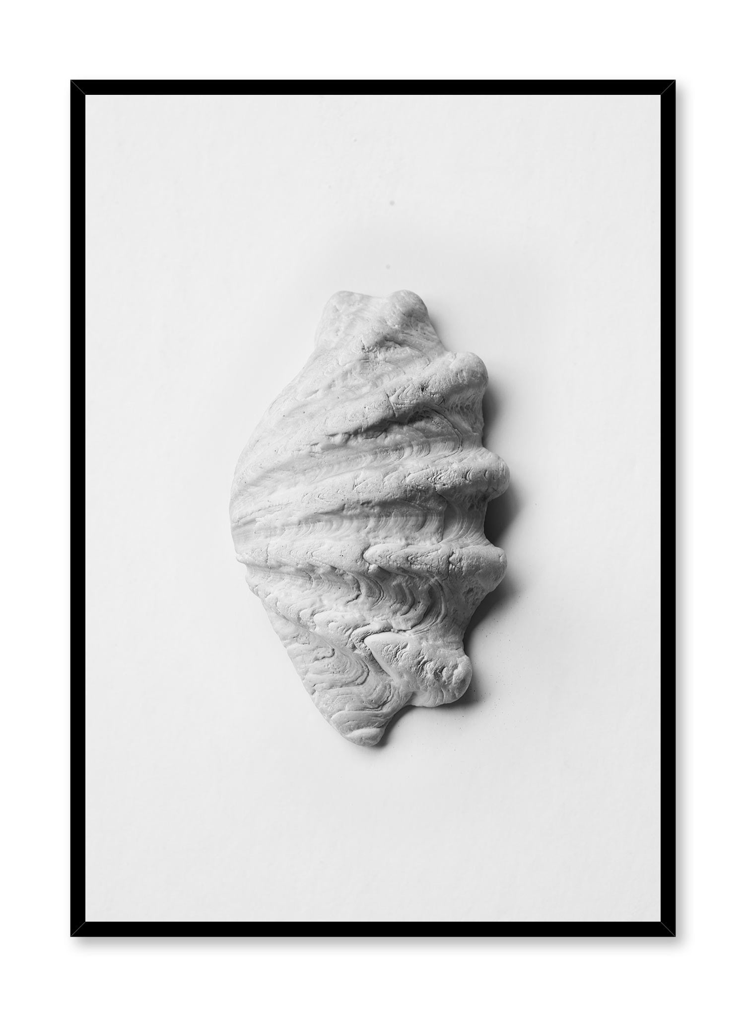 Scallop Shell is a minimalist photography of a close-up shot of a white scallop shell facing the right side by Opposite Wall.