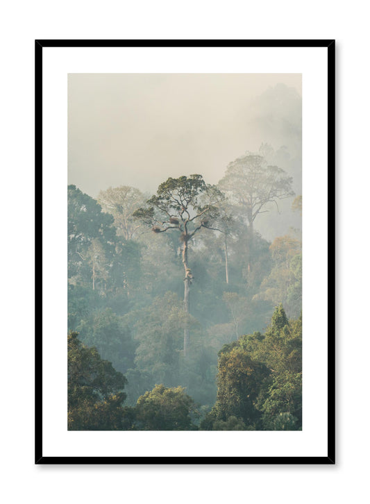Untouchable is a minimalist photography of a tall and slim tree in a foggy forest by Opposite Wall.