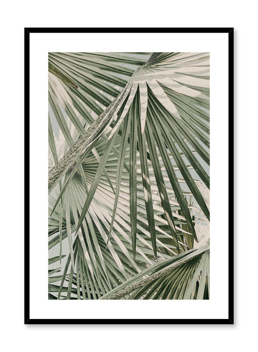 Through the Bush is a minimalist photography of a close-up view of leaves of a palm tree under a bright sun by Opposite Wall.