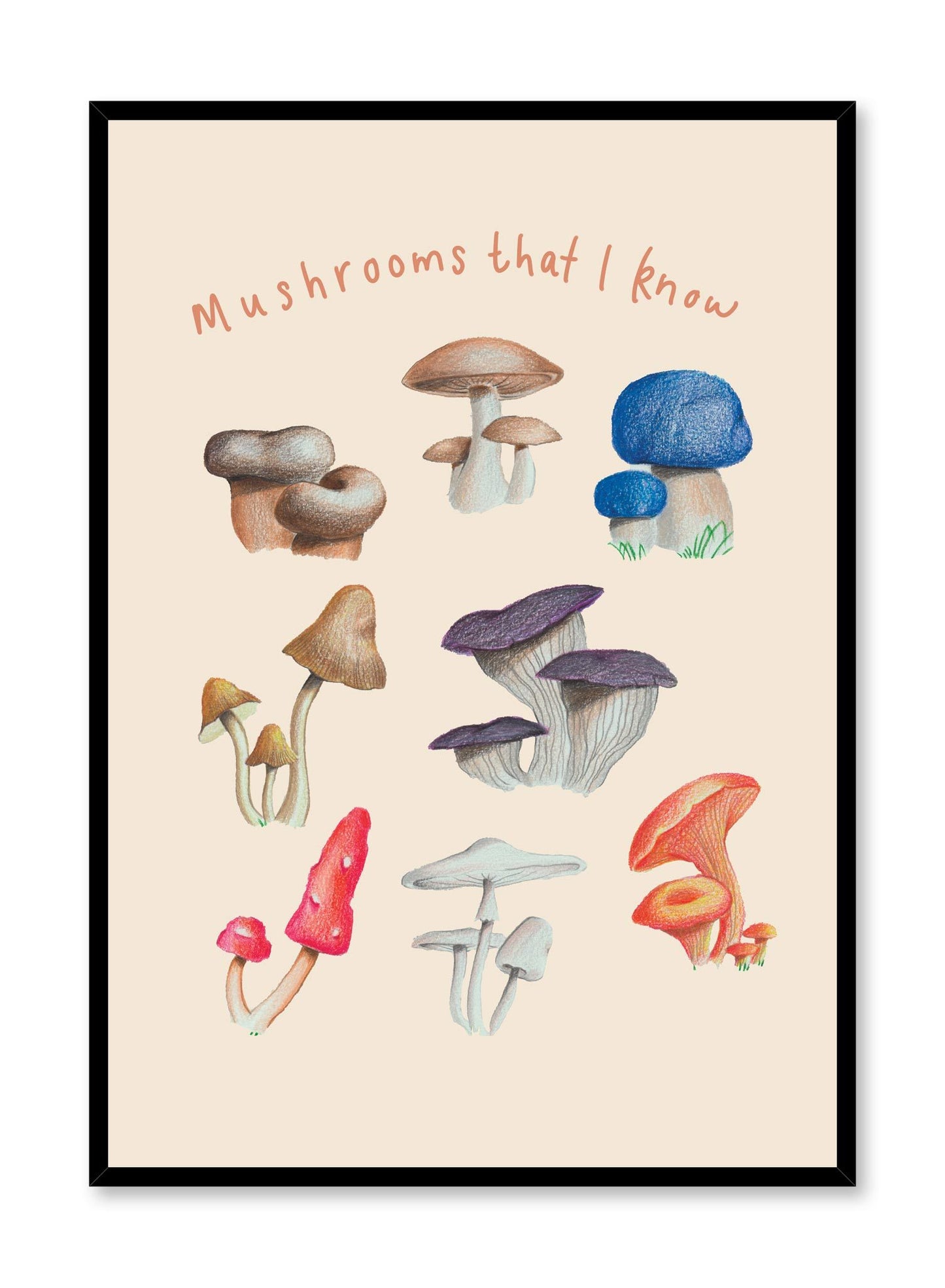 Mushroom Harvest is a minimalist illustration by Opposite Wall of an assortment of different types and colours of mushrooms.