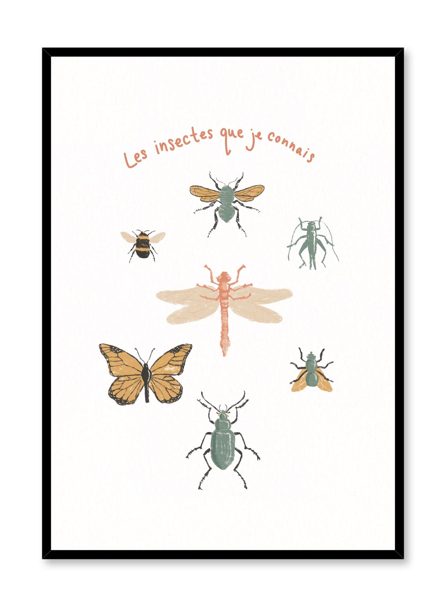 Bug’s Life in French is a minimalist illustration by Opposite Wall of seven different types of commonly found bugs.