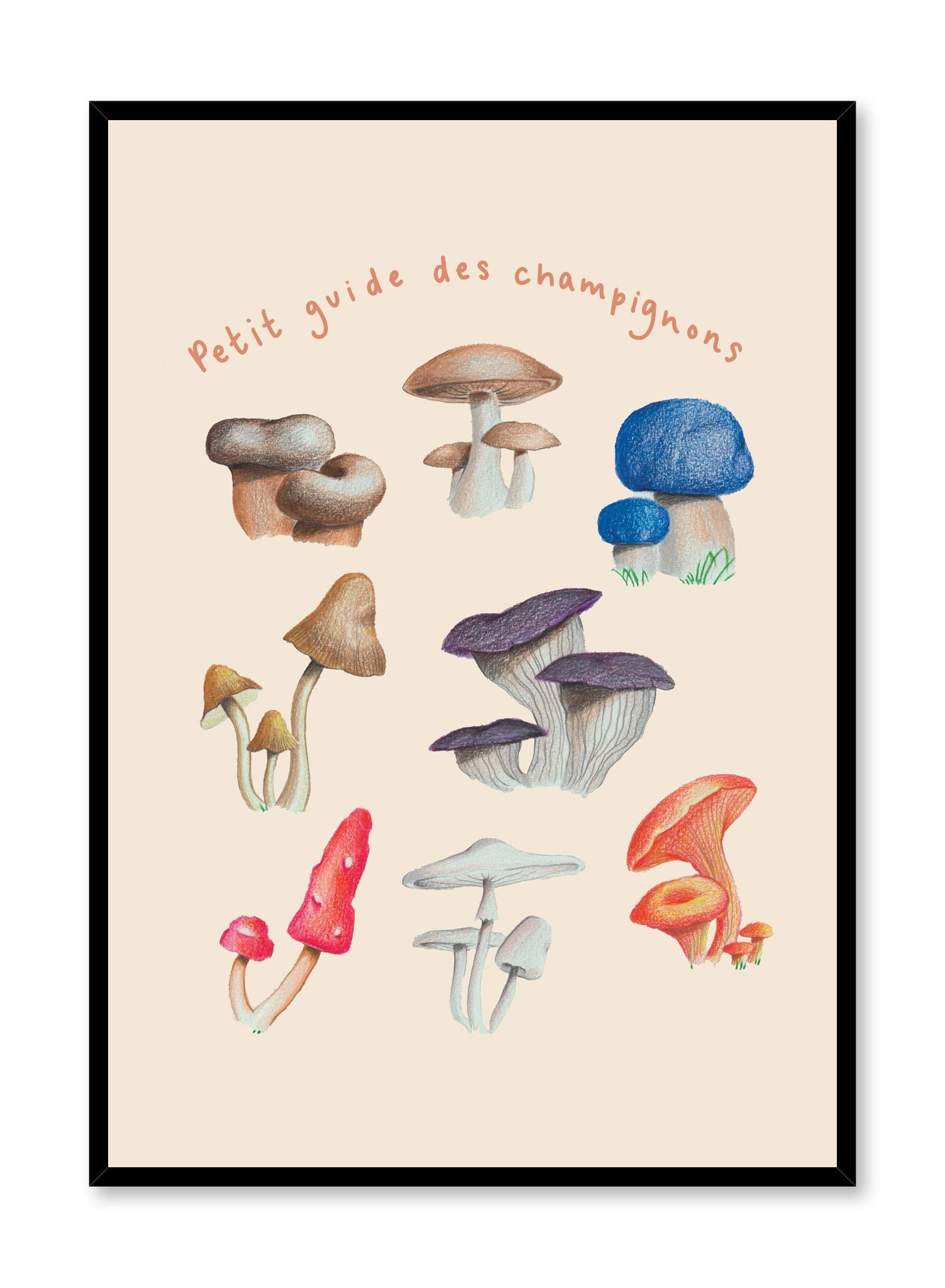 Mushroom Harvest in French is a minimalist illustration by Opposite Wall of an assortment of different types and colours of mushrooms.