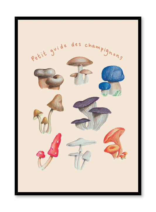 Mushroom Harvest in French is a minimalist illustration by Opposite Wall of an assortment of different types and colours of mushrooms.