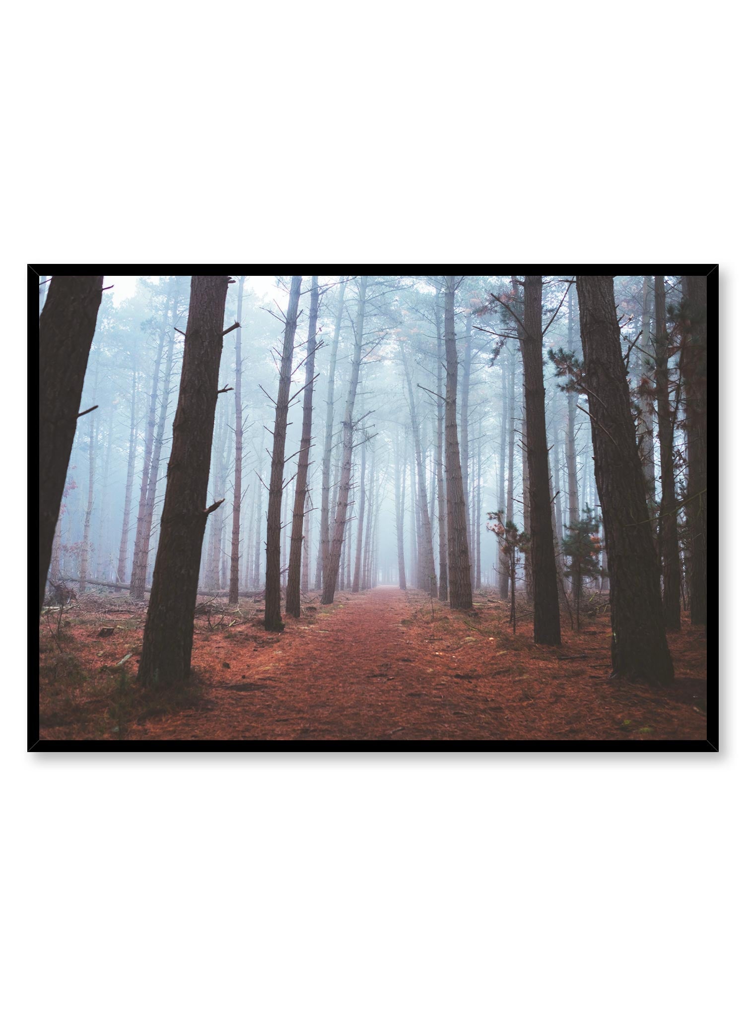 Gloom is a minimalist photography by Opposite Wall of a red-brown path leading into a foggy forest with tall trees.