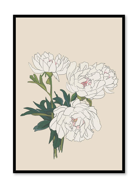 Old-Fashioned Flowers is a minimalist illustration by Opposite Wall of a bouquet of four white peonies.