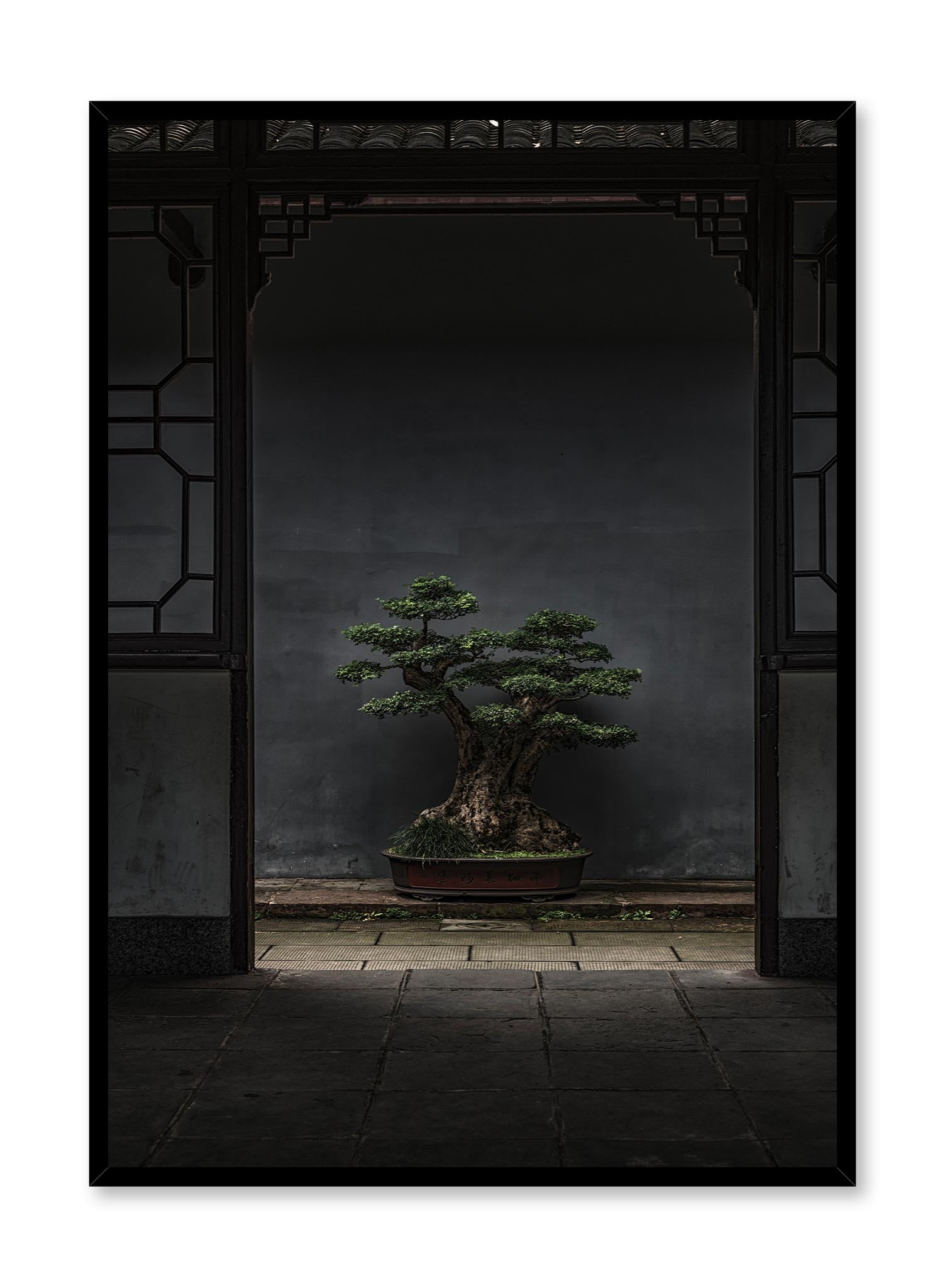 Bonsai Illumination is a minimalist photography by Opposite Wall of a medium size bonsai tree outside a traditional Japanese house.