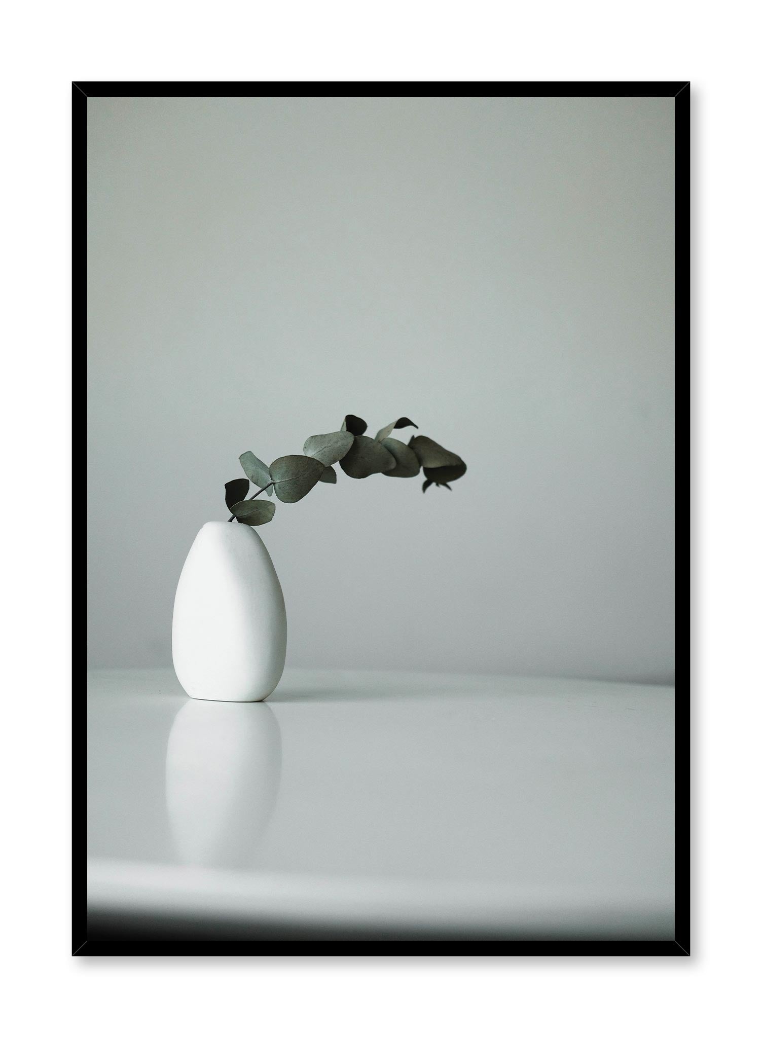 Eucalyptus is a minimalist photography by Opposite Wall of an eucalyptus plant leaning outwards from a small white vase.