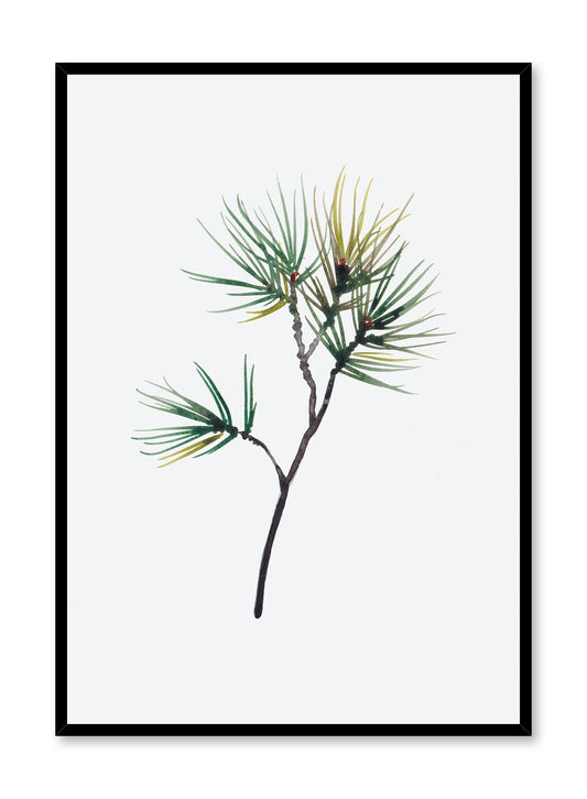 Winter Branch Drawing, Poster | Oppositewall.com