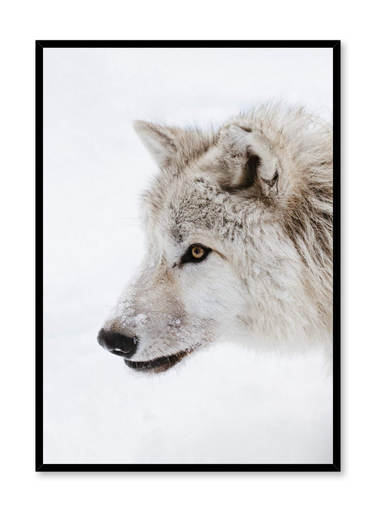White Fang Wolf, Poster | Oppositewall.com