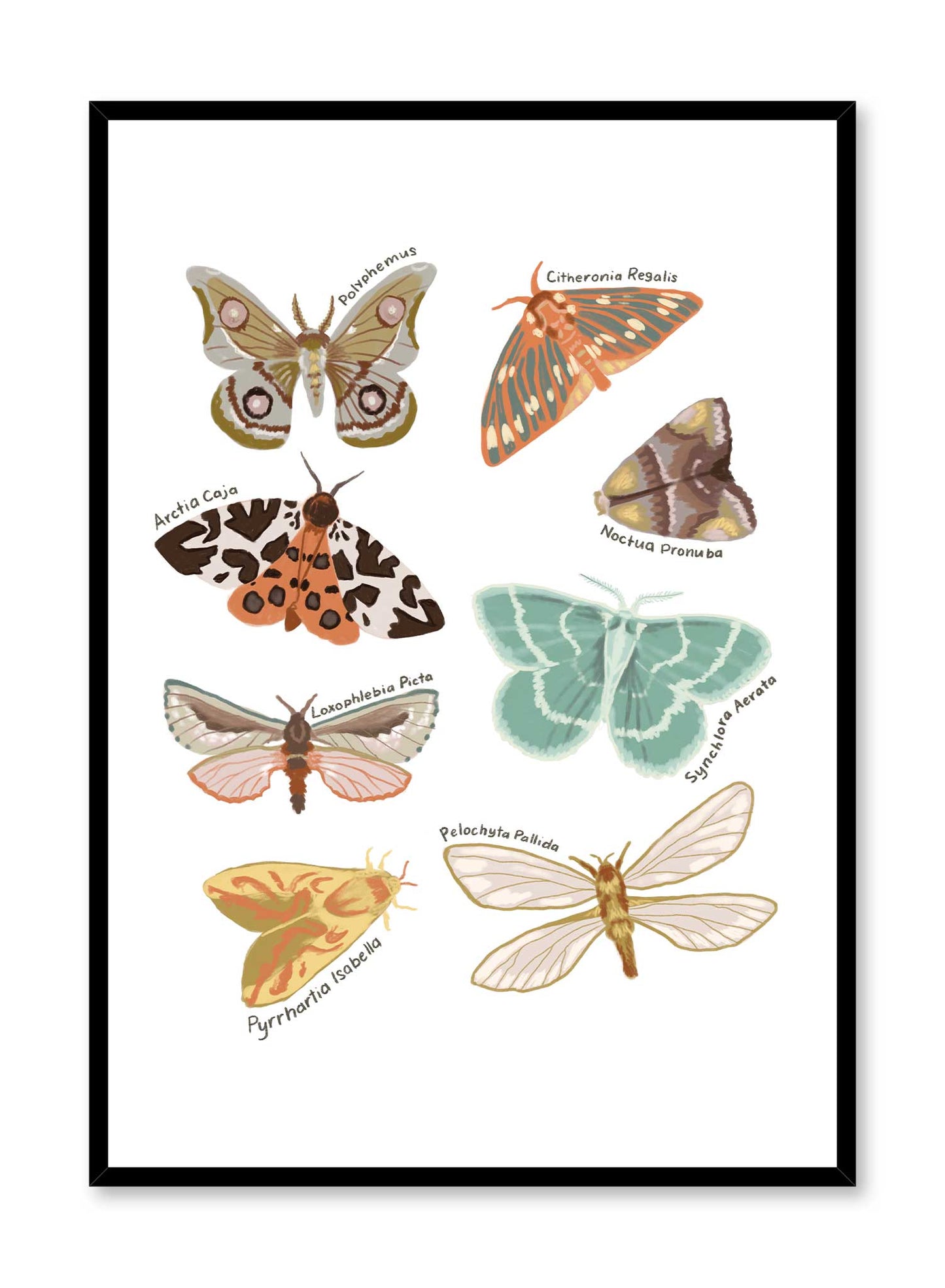 Les papillons, Affiche