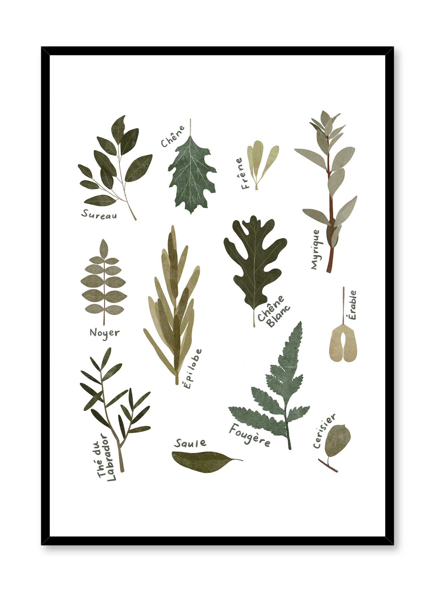 Leaf Encyclopedia in French, Poster