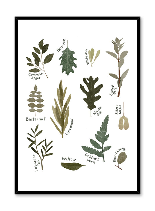 Leaf Encyclopedia, Poster