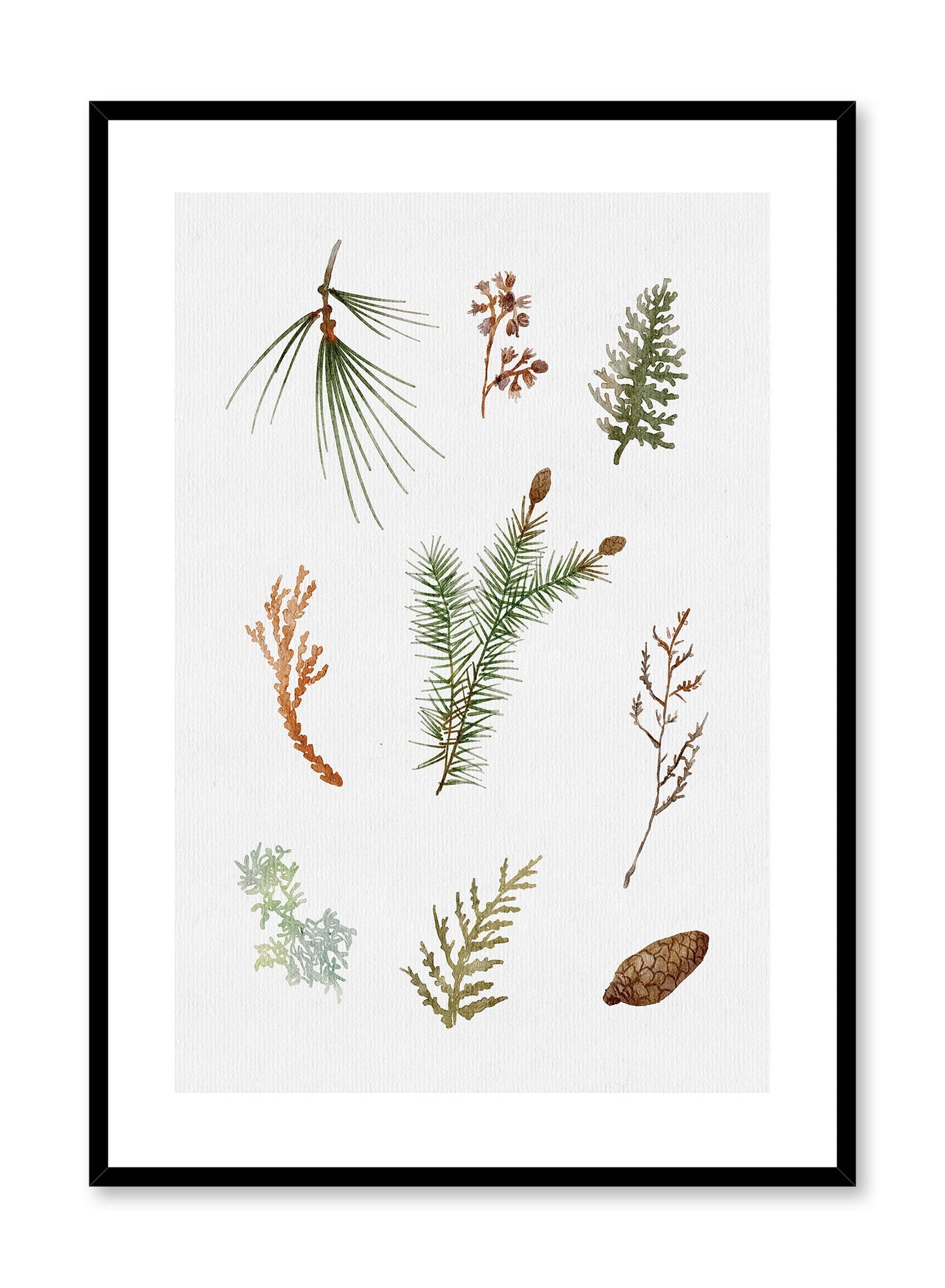 Forest Finds, Poster