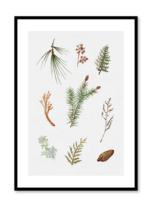Forest Finds, Poster