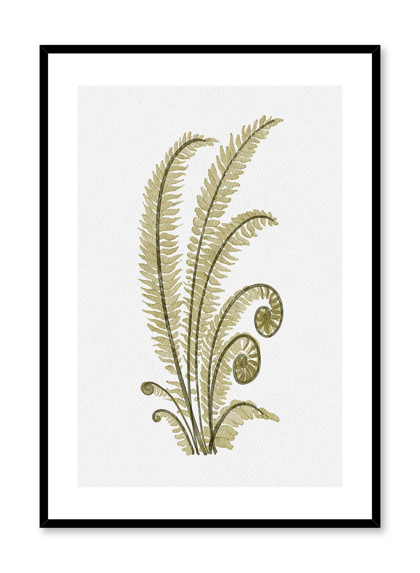 Curly Fern, Poster