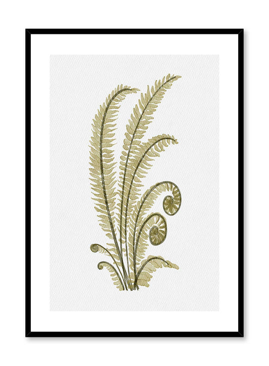 Curly Fern, Poster