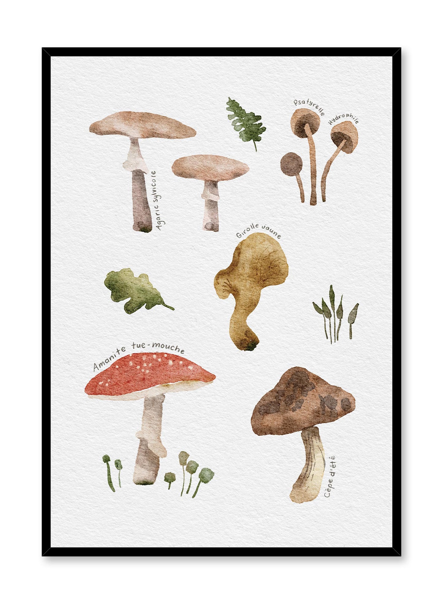 Foraging Mushrooms in French, Poster