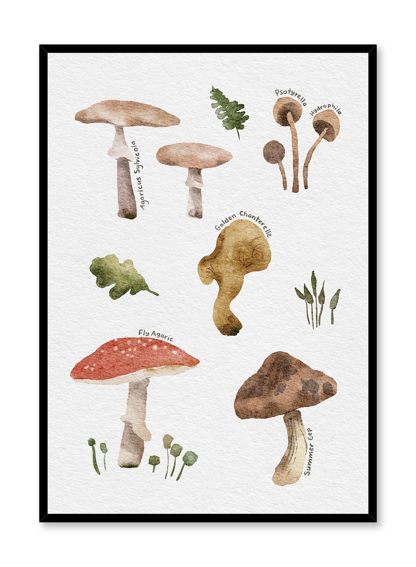 Cueillette de champignons en anglais, Affiche