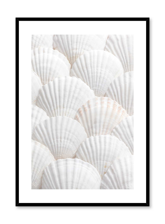Seashell Selection, Poster