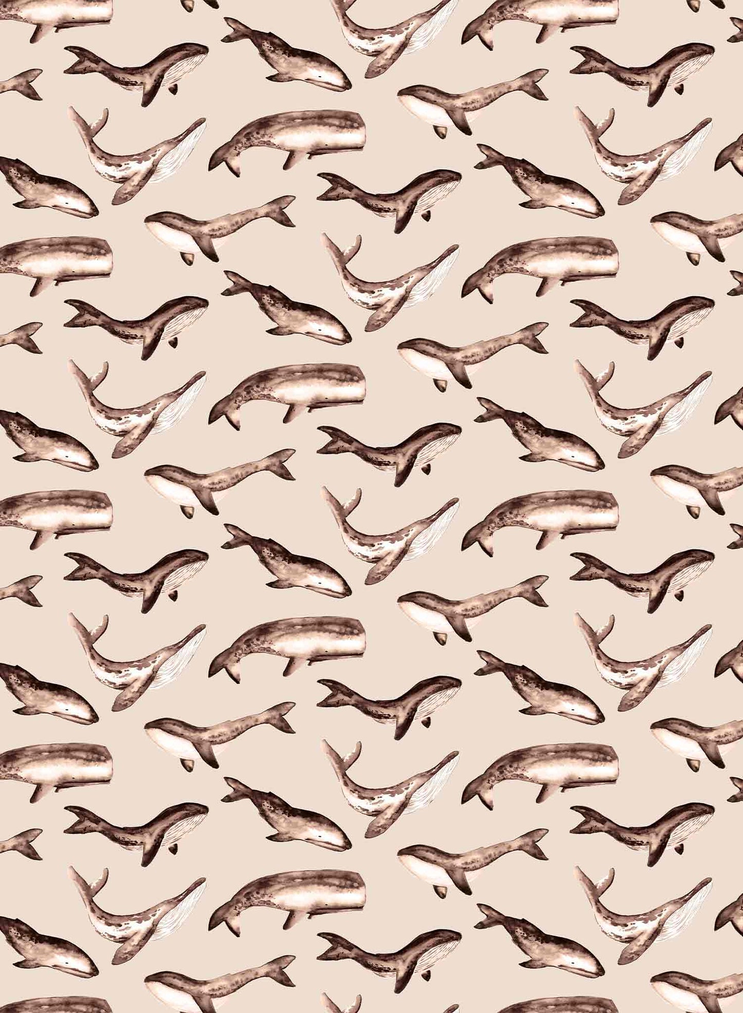 Whale Tale is a minimalist wallpaper by Opposite Wall of a collection of various whale types.