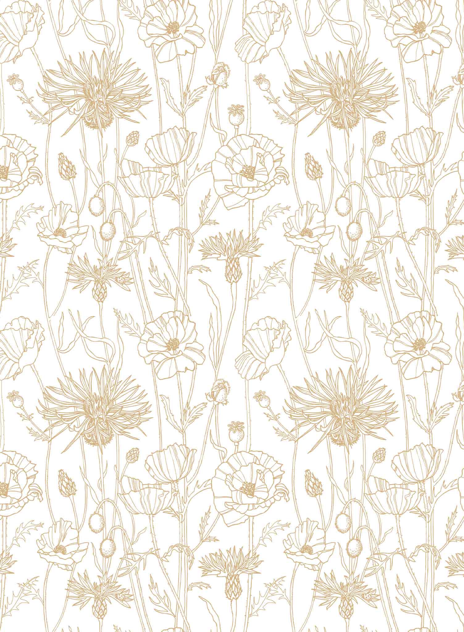 Poppy Field is a minimalist wallpaper by Opposite Wall of a field of tall poppy flowers.